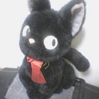 黒猫のJiji(@BlackCatJiji) 's Twitter Profile Photo