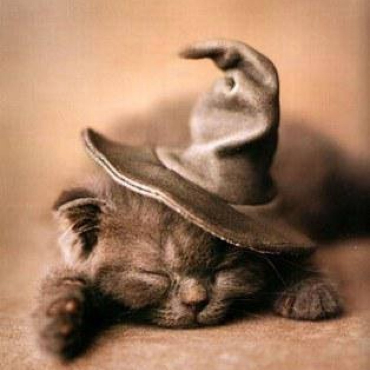 La Wicca est la 'religion' de la nature . Ici , c'est un groupe francais de discutions. sur celle-ci mais aussi d'humour païen !! )0(