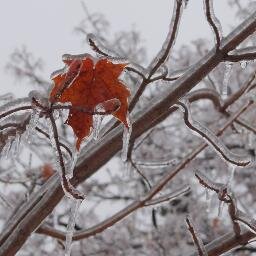 ActivitiPartner's profile picture. Web Applications, Gamer, Dreamer