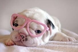 Sou estudante.A maioria dos meus tweets tem uma parte de inglês.Amo chocolate e amo também cachorros.Sou uma garota intelectual!: )!