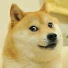 Me drogo solo los martes. Wof.
