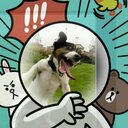 Vinicio Acosta - @viniacos - Twitter