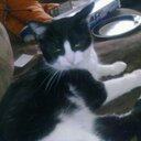 Eric Hedges - @zdogSpitfire - Twitter