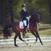 Rebecca Bell (@belldressage) Twitter profile photo Rebecca Bell (@belldressage) Twitter profile photo