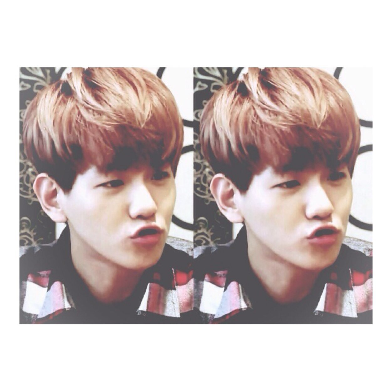 เป็นคุมะที่หล่อมาก55555555555555555555555555555555555555 | กิ๊กนัมเบอร์ที่ล้านแปด : มายเมโล่ | #엑소 | 130925| #BOSHFam