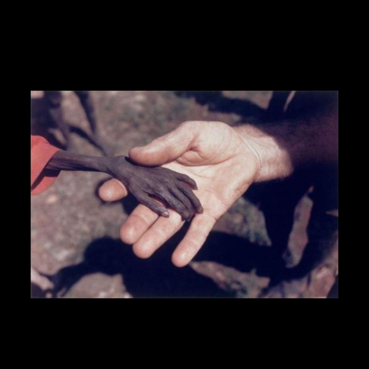 birteet's profile picture. 