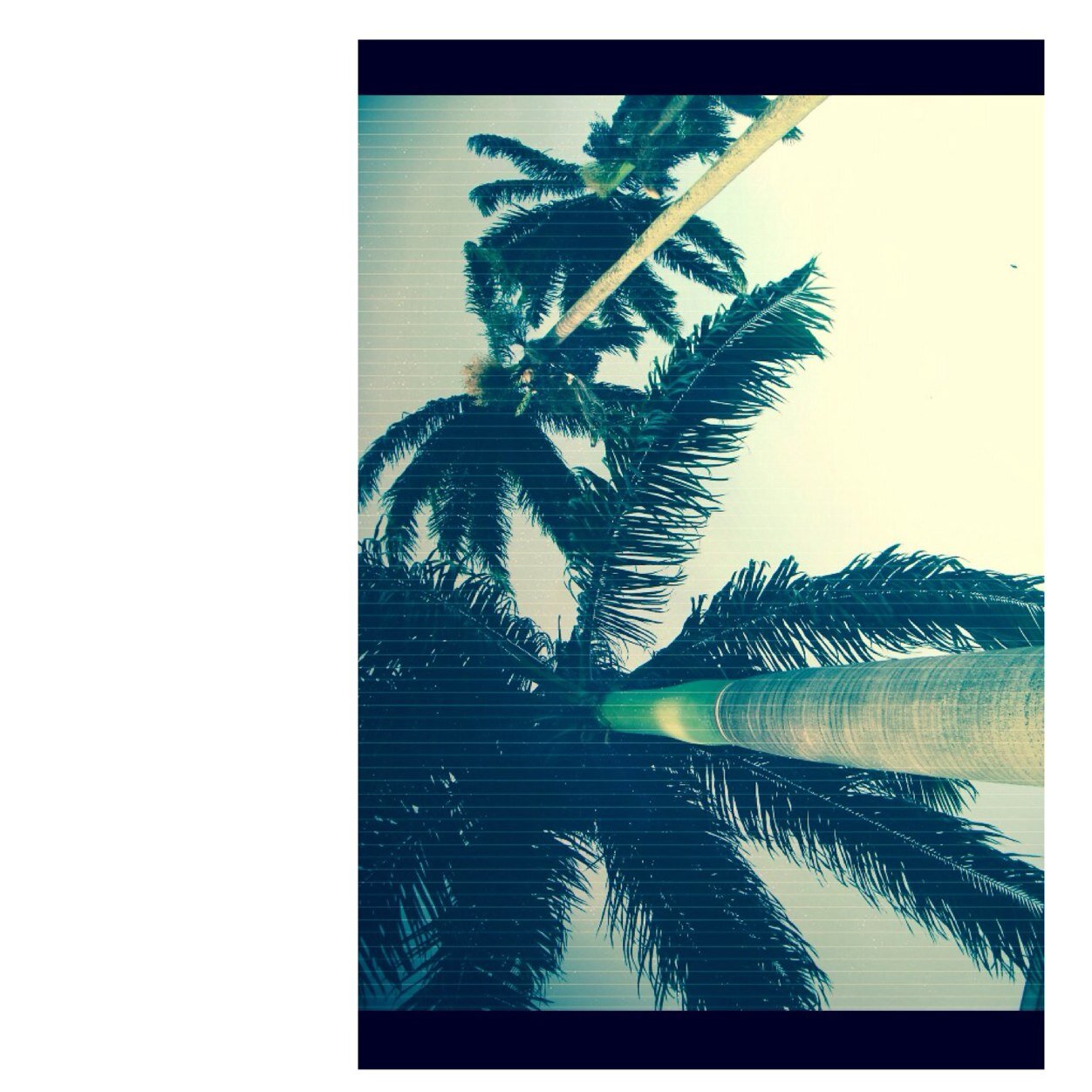 based_tits's profile picture. white bitch