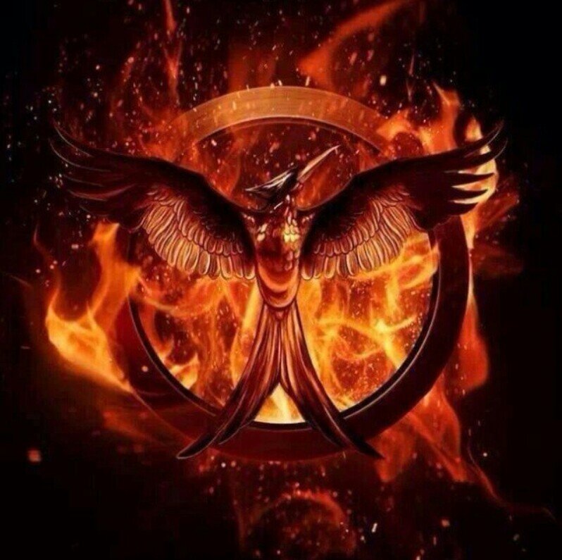 i love the hunger games