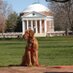 DeanJ @ UVaAdmission (@uvadeanjay) Twitter profile photo