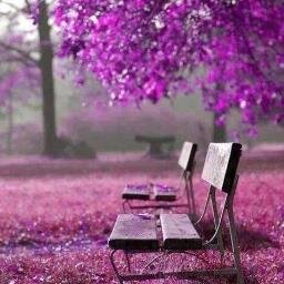 ayandemirkan32's profile picture. 