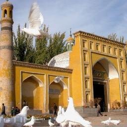 VmvdwarAkrablj's profile picture. 