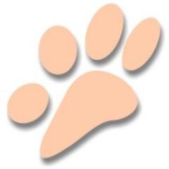 O mais completo Portal de Curiosidades, saúde, bem estar animal e anunciantes de produtos e serviços perto de sua casa