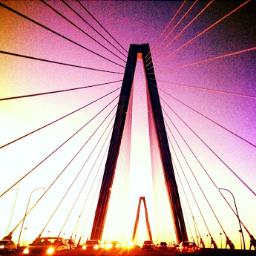 RavenelBridge's profile picture. 