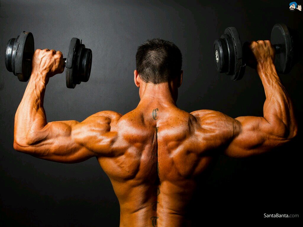 Fitness humor, motivation, and much more. I am also a real life human being and not a robot like other accounts...