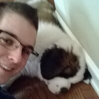 Josh Lester (@josh_pointo_) 's Twitter Profile