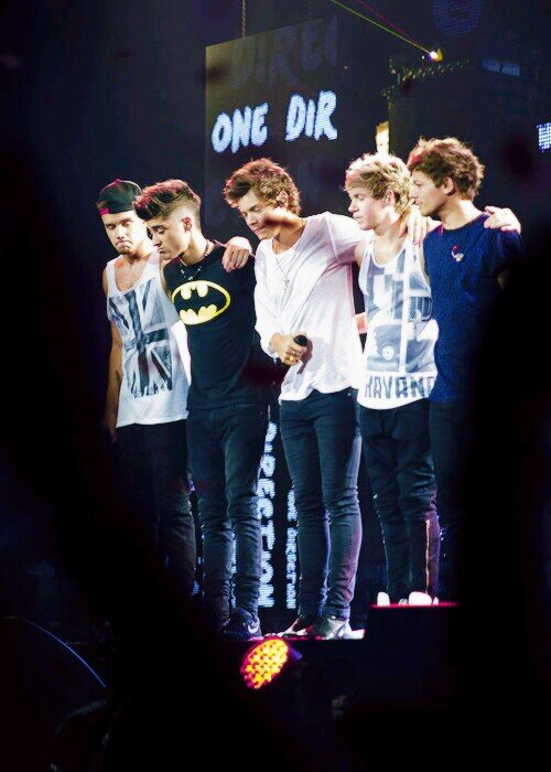 Harry, Louis, Niall, Zayn y Liam son mi vida ♥