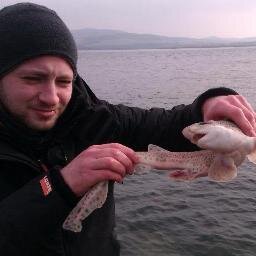 Emmett6661's profile picture. Master of the sea (Marine Biologist). Cars (Fast ones), music (Guitar and Production), etc.