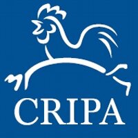 CRIPA(@CentreCRIP) 's Twitter Profile Photo