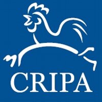 CRIPA (@centrecrip) 's Twitter Profile Photo CRIPA (@centrecrip) 's Twitter Profile Photo