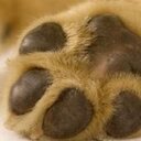 Stella Salazar Bueno - @STELLASAL_ALU - Twitter