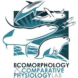 Marine Biology, Ecological & Functional Morphology, Comparative Biomechanics, Integrative Organismal Biology, Conservation of Protected Species, #sciart