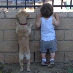 harry_plushenko's profile picture. 2015年は2度の引越し、大阪→東京→大阪とUターンしました。黒い砂漠が楽しそうだけどマシンスペックが足りない今日この頃。