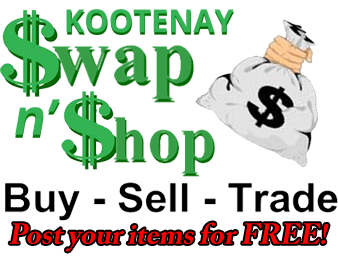 Free Classifieds, Online Auctions, and Store Fronts for Business