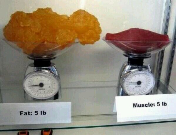 NUTRICIONISTA DE ALMA,CUERPO y MENTE, PURA BUENA VIBRA!! NUtRiEnDo CuErPos Y ViDas!!....(Act.Fisica-endocrinología-Metabolismo) Lo demás es mi historia (I♥ROCK)