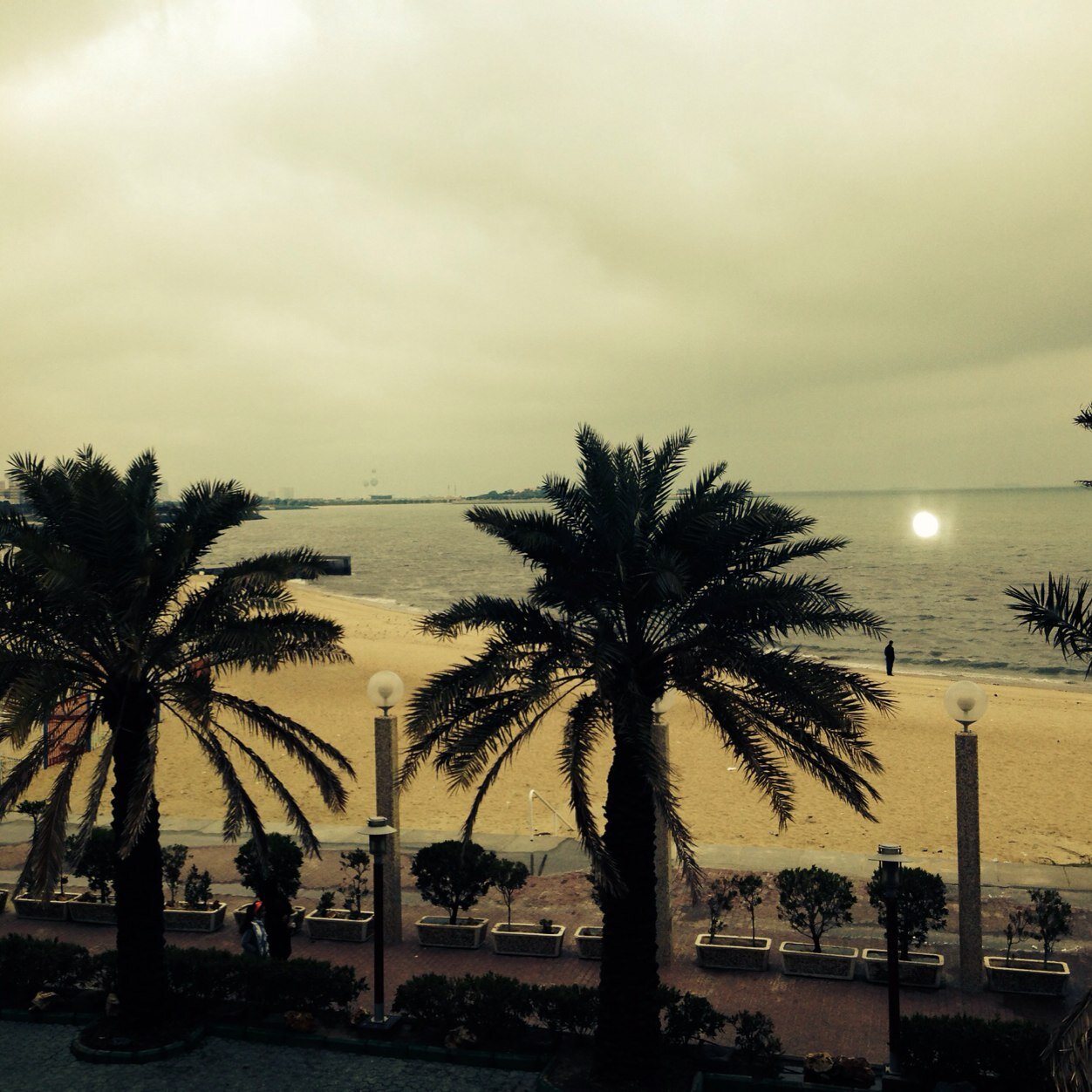 okssok's profile picture. this is youngmin Seo