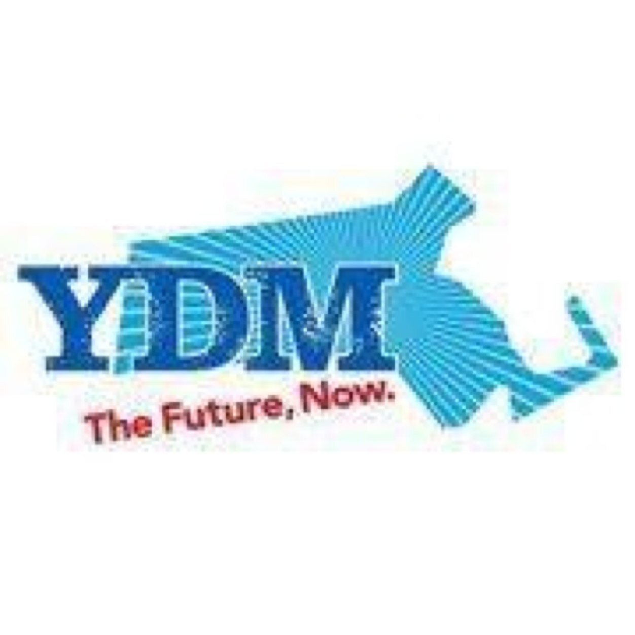 MVYD is @MAYoungDems @massdems #MerrimackValley Chapter Young/Young-At-Heart Democrats who socialize & organize! https://t.co/uC8jzMpfhc