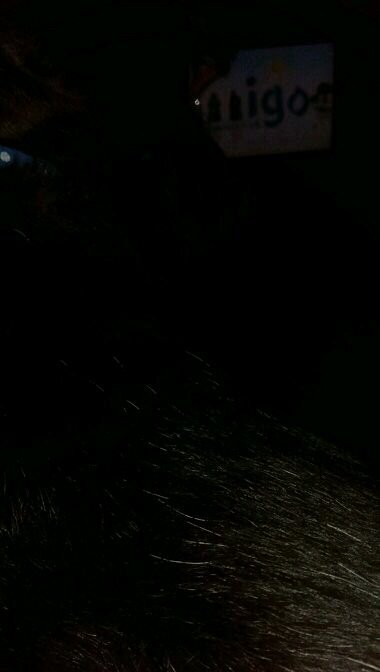 SamJackExordium's profile picture. #WaynesWorld