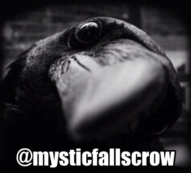 I see all. #TVDFamily #TheOriginals