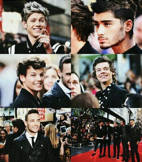 Mi unico sueño en mi vida es conocer a mis idolos One Direction! :3