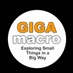 GIGAmacro (@giga_macro) Twitter profile photo GIGAmacro (@giga_macro) Twitter profile photo