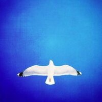 Anne Siegel 🇪🇺🇺🇦 (@annesiegel) 's Twitter Profile Photo