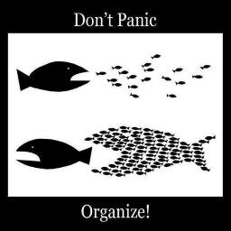 Stop believing in authority, start believing in each other!