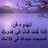 Alaseel214's profile image