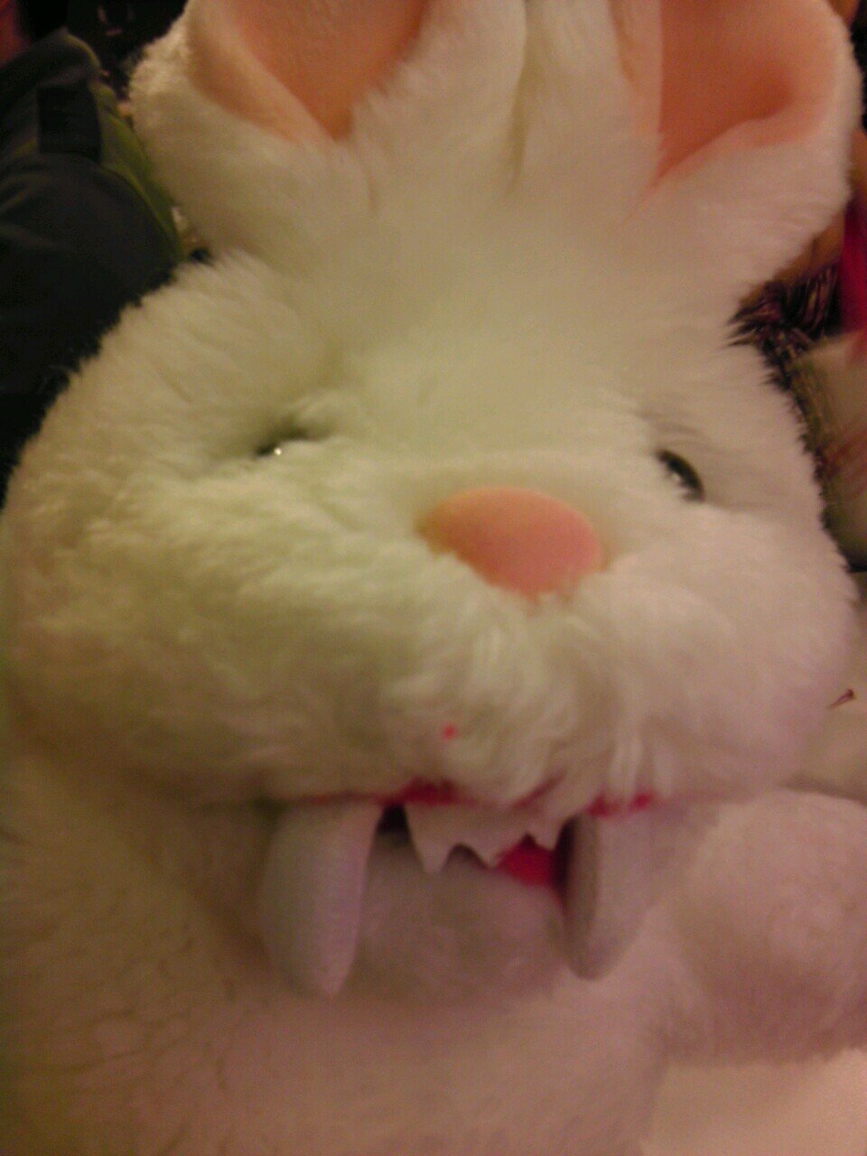 dmo_dm's profile picture. 