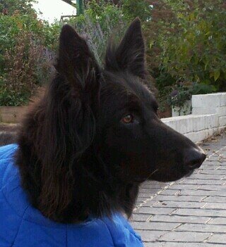 KatieMaddock1's profile picture. Pharmacist, Director of Learning & Teaching Keele MPharm, (very) part time taiko drummer and ukuleleist, keen vegetable gardener. Tweets random.