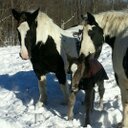 Jocelyn Sanders - @DrumHorseLover - Twitter