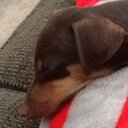 Brendon Johnson - @brendonrj04 - Twitter