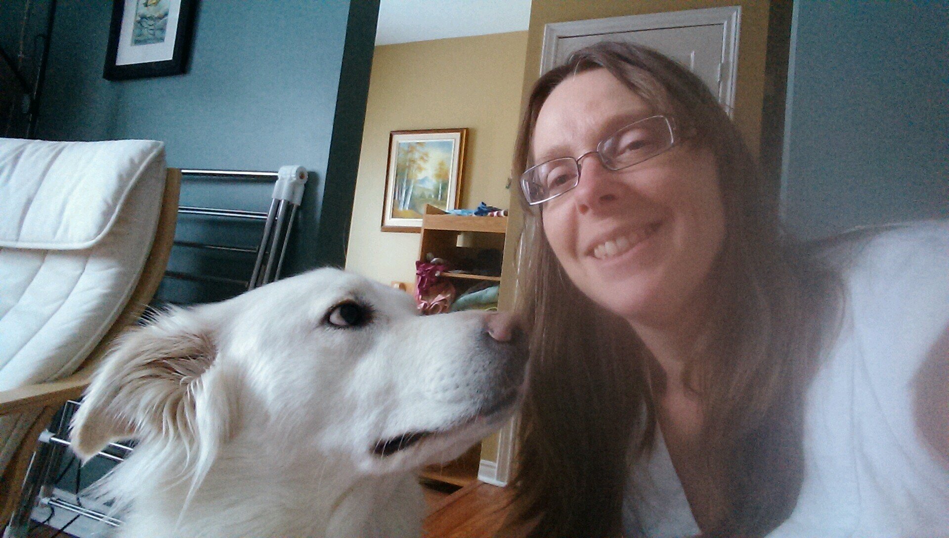 science teacher, geocacher,  dog owner