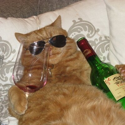 Profile Picture of Graham Chessable (@TomHankyPanky) on Twitter