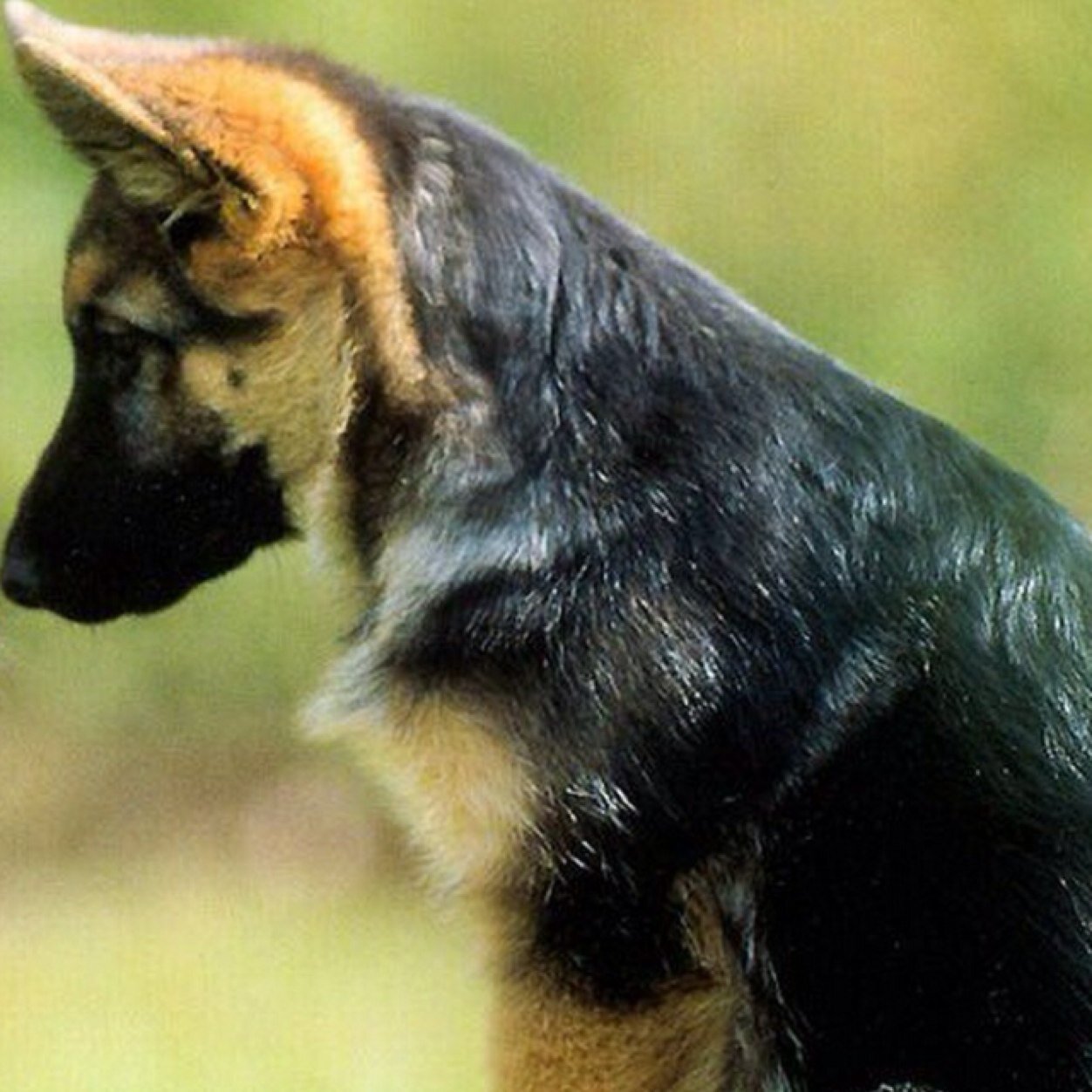 sadfac3day's profile picture. Living the life I have been given