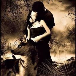 Tigres & Leões São Maiores .
 Mas Os Lobos Não Trabalham Em Circos !

Segue Também @Black_Angels_6 & @Cry_Wolfes