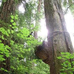 NewtonResidents's profile picture. We are the Newton Community Association.We are established to connect our Surrey neighbourhood & to provide a united voice for the community.We're New! Join Us!