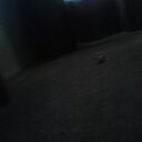 ciara wilcox - @ciarawilcox03 - Twitter