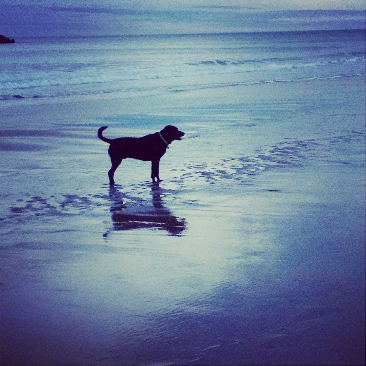 krause_allison's profile picture. Not the singer