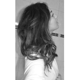 Lion.