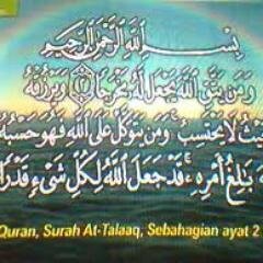 RdsRudi's profile picture. 